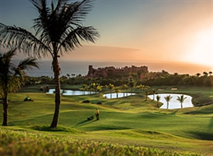  高爾夫及運(yùn)動場設(shè)備